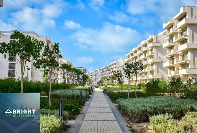 8357977 - Property Image 2