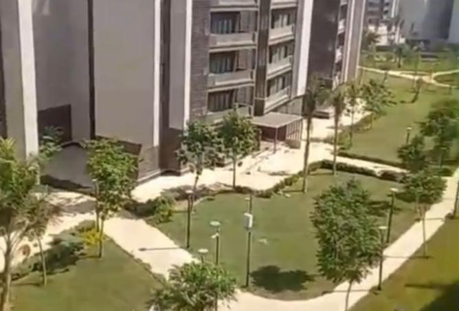 8218431 - صورة العقار 2