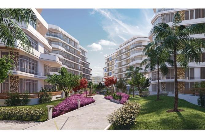 7931541 - Property Image 3