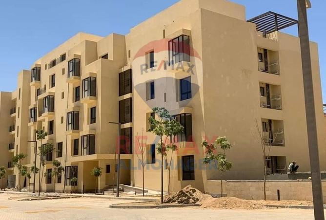 8353864 - Property Image 3