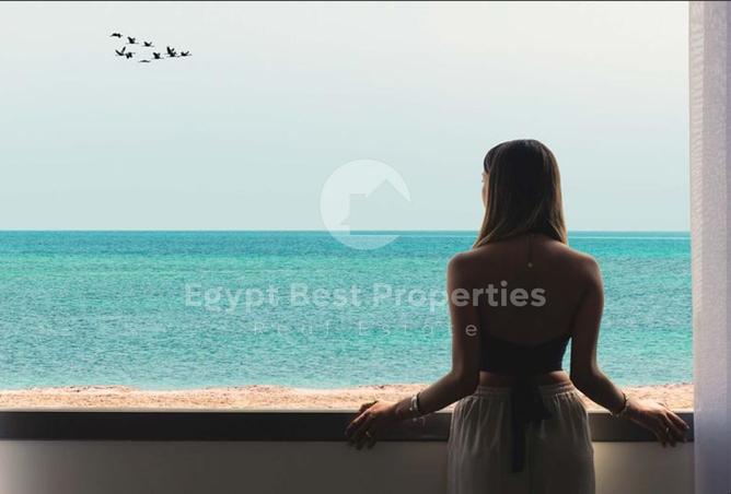 8487694 - صورة العقار 2