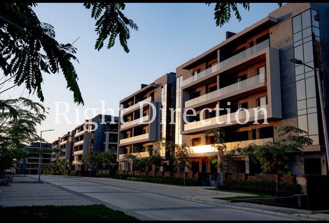 8337292 - صورة العقار 3