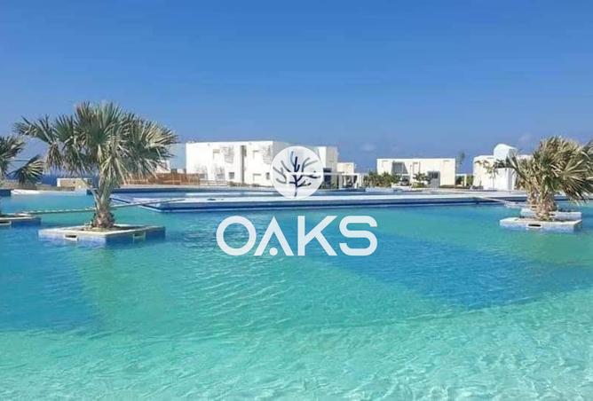 8162425 - Property Image 3