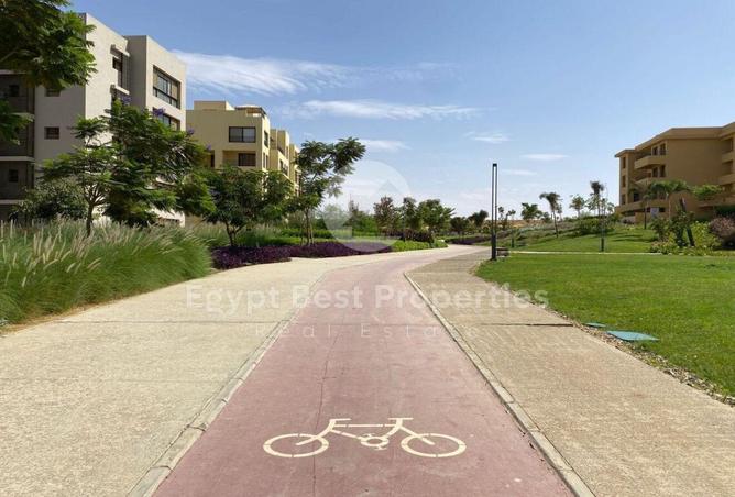 8054028 - Property Image 3
