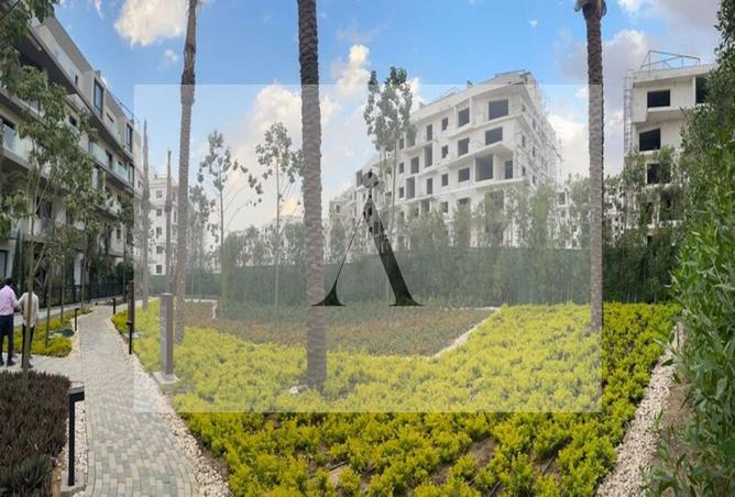 8148920 - Property Image 3