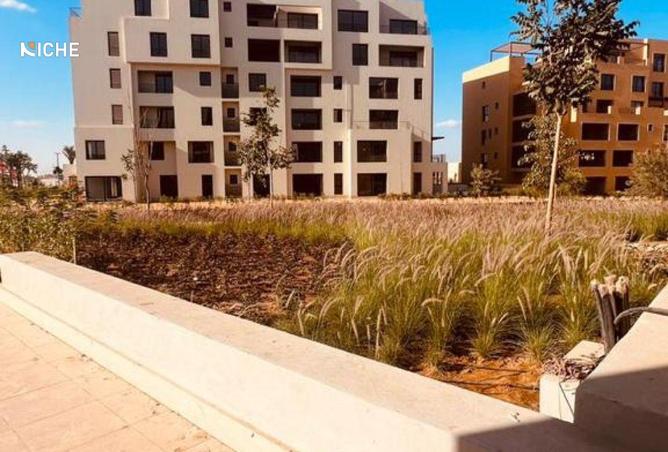 8152851 - Property Image 3