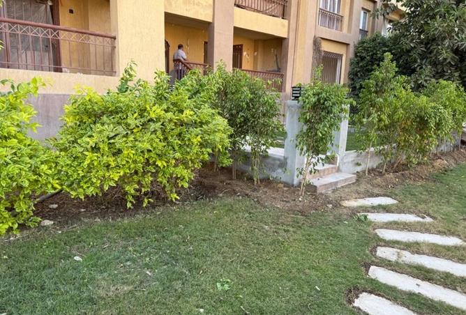 8096481 - الصورة الرئيسية للعقار