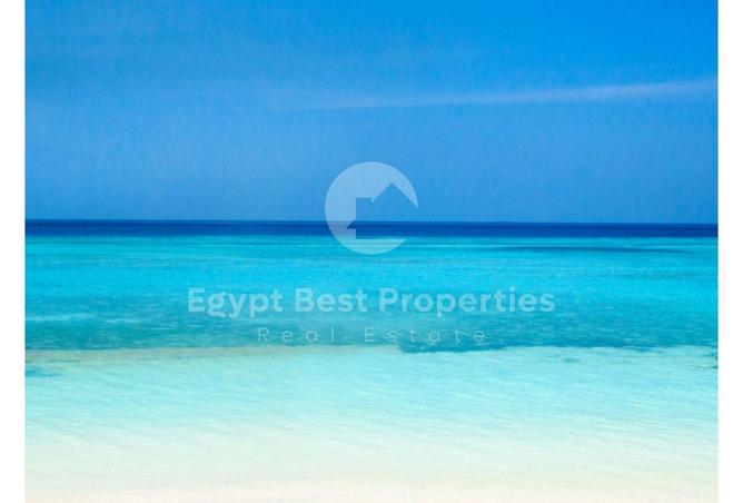 8059183 - صورة العقار 3