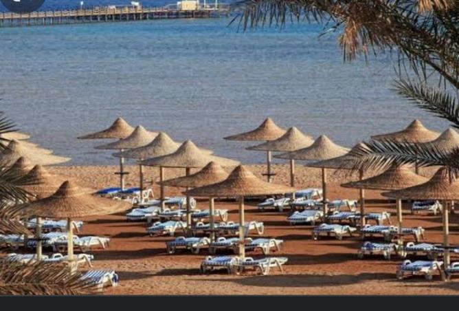 7928393 - الصورة الرئيسية للعقار