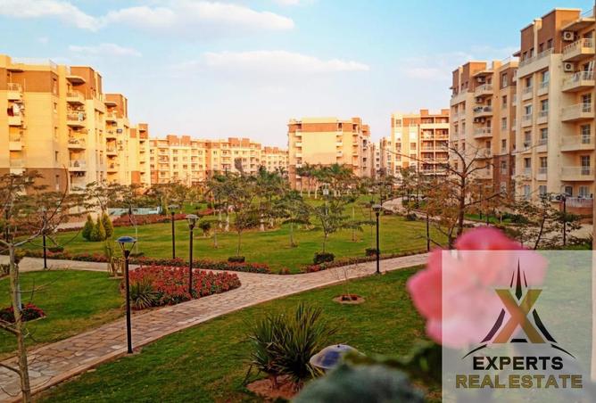 8231964 - الصورة الرئيسية للعقار