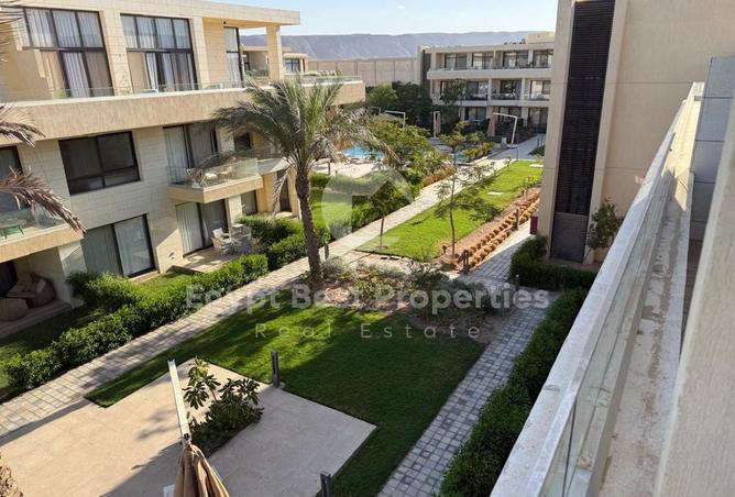 8240840 - Property Image 3