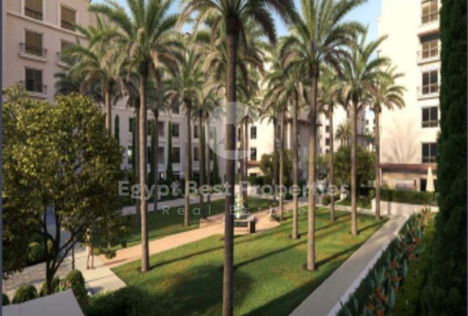 8203016 - صورة العقار 3