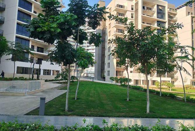 8000138 - صورة العقار 3
