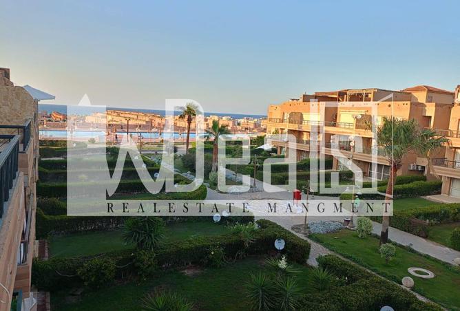 8163003 - صورة العقار 3