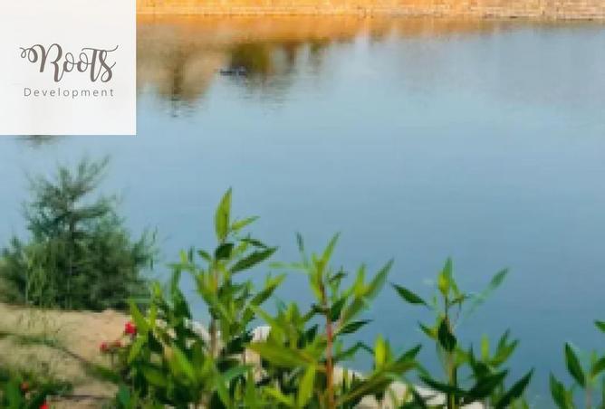 8162821 - Property Image 3