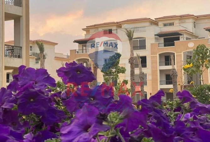 8215824 - Property Image 2