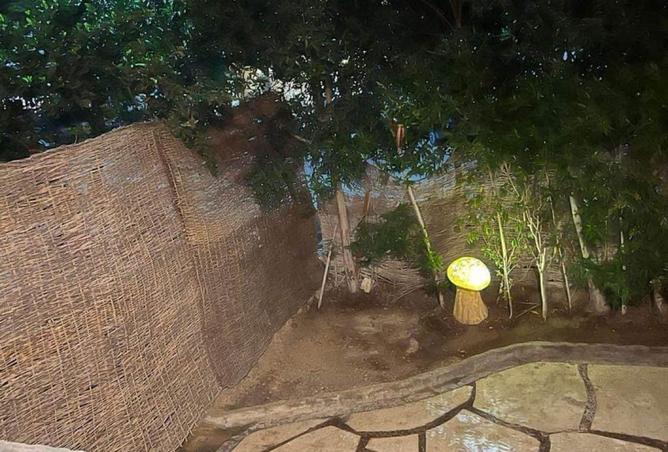 8483845 - الصورة الرئيسية للعقار