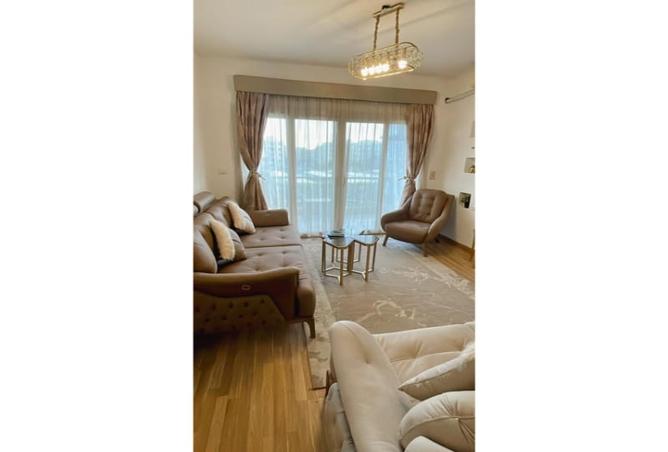 8175862 - Property Image 3