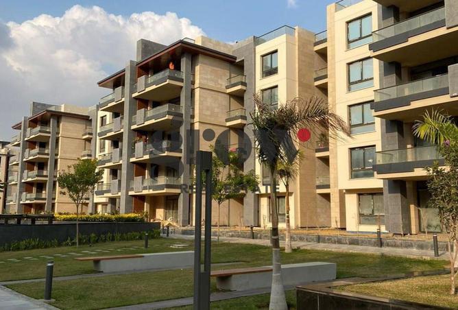 8120934 - Property Image 3