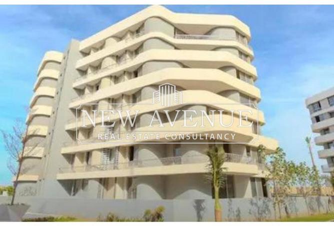 8157478 - Property Image 2