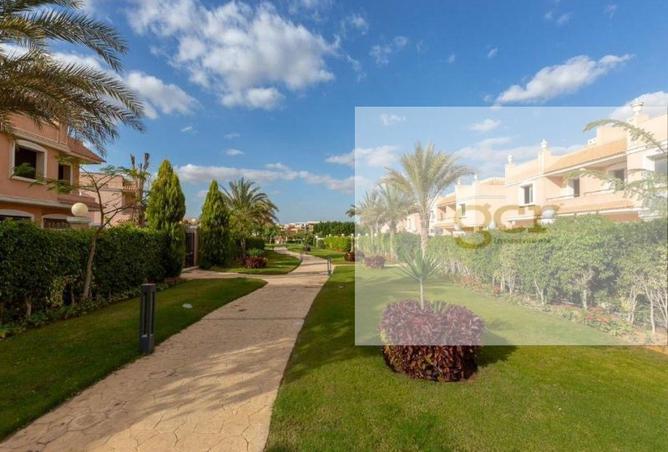 8191497 - Property Image 3