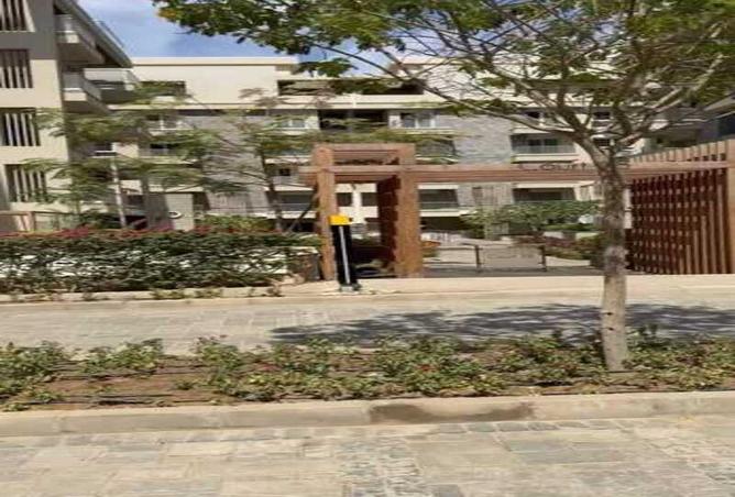 8243561 - Property Image 3