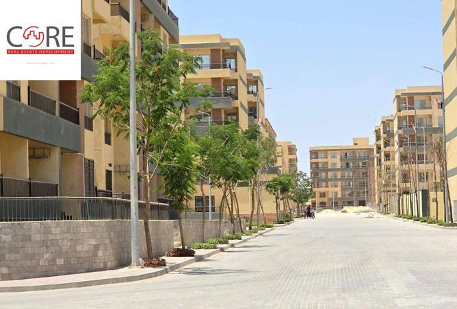 8059048 - صورة العقار 3