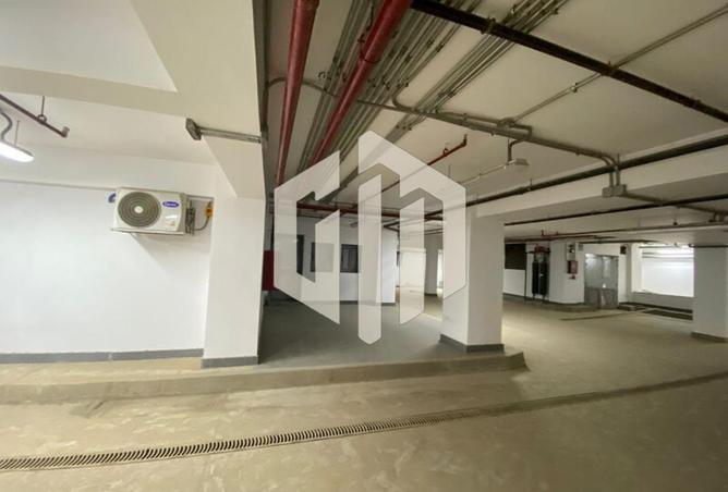 8081589 - Property Image 3