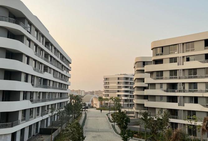 8412223 - Property Image 3