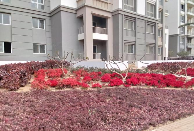 7967139 - صورة العقار 3