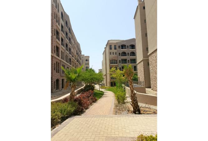 8108682 - صورة العقار 2