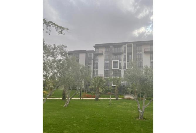 8192181 - صورة العقار 3