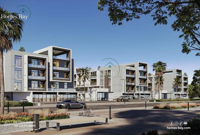 8330908 - Property Image 3