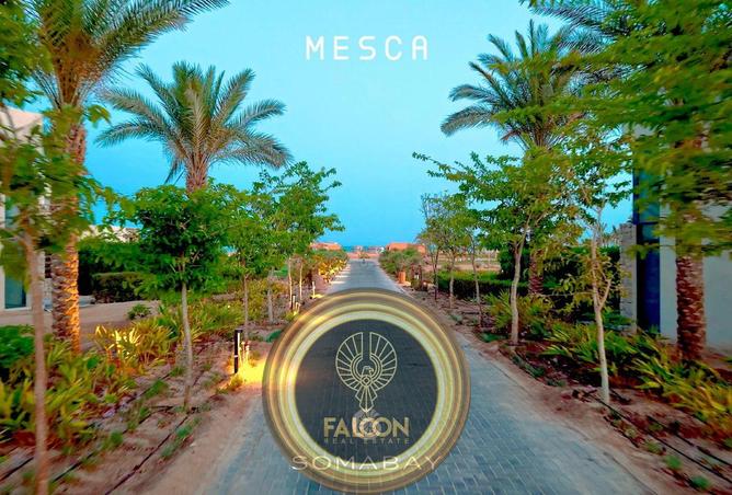 8244590 - صورة العقار 2