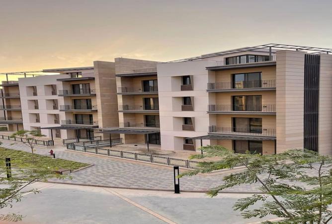 8300772 - Property Image 3