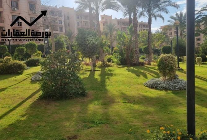 8491638 - Property Image 3