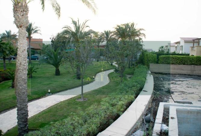 7953838 - الصورة الرئيسية للعقار