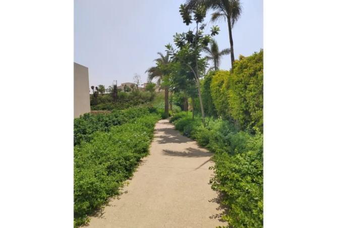 8003871 - صورة العقار 3