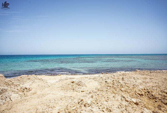 7986001 - صورة العقار 3