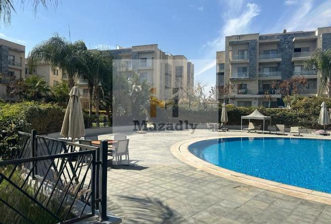 8393199 - Property Image 2