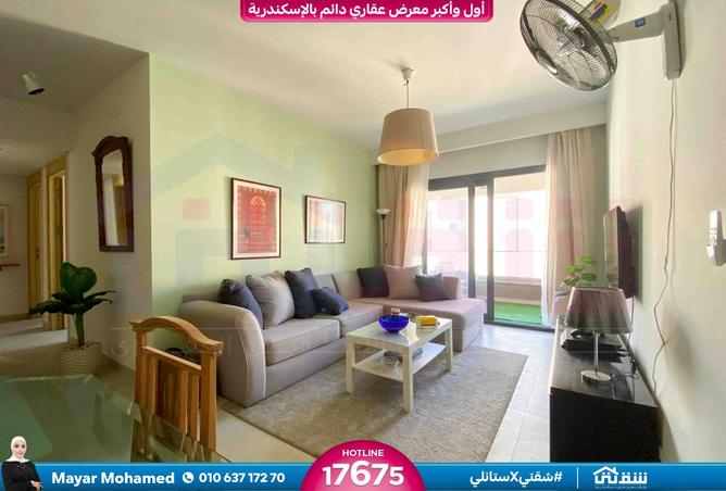 8278702 - Property Image 3