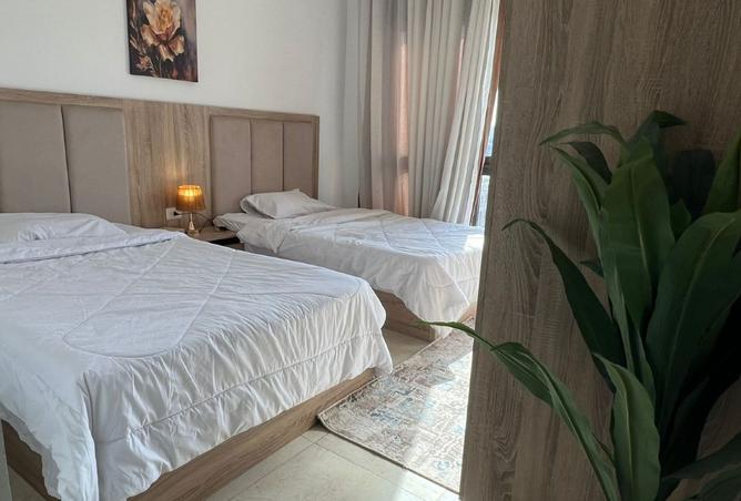 7900769 - Property Image 3