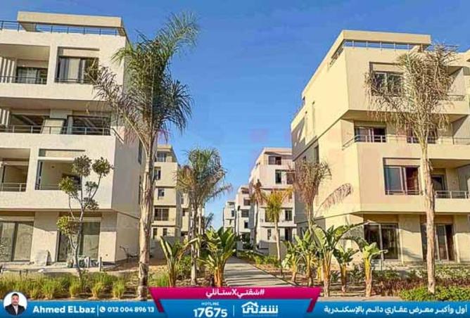 8452795 - Property Image 2