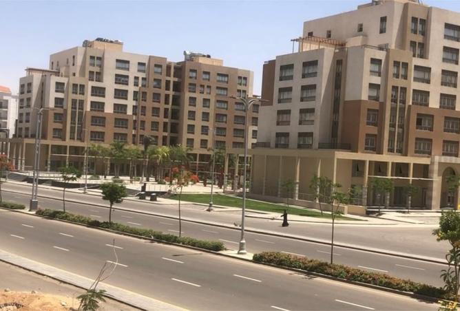 8444542 - Property Image 3