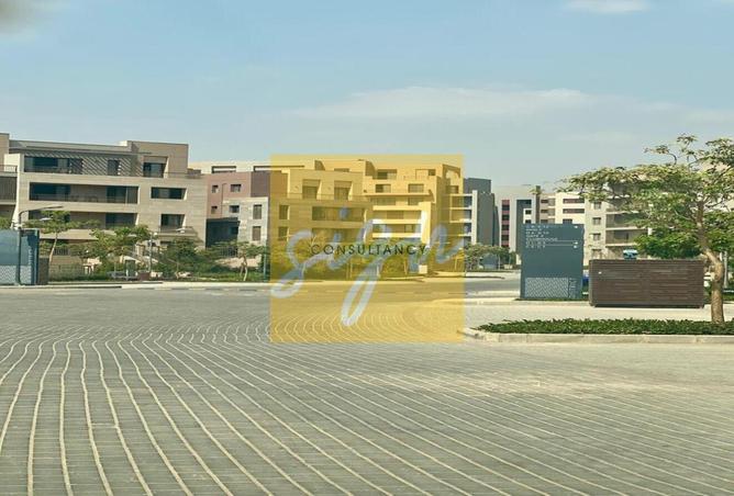 8067819 - Property Image 3