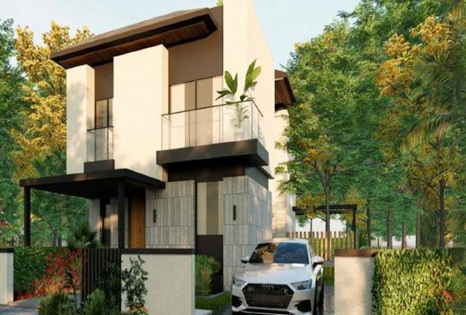 8437317 - Property Image 3