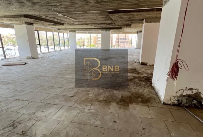 8011294 - Property Image 3