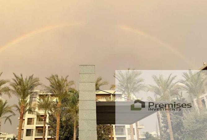 8431984 - صورة العقار 3