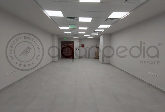 8402619 - Property Image 3