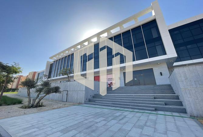 7991916 - صورة العقار 3